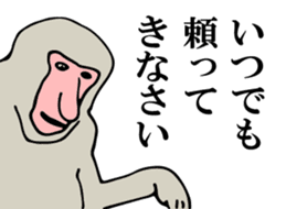 Proboscis monkey sticker #1276480