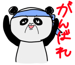 DARUpanda sticker #1281973