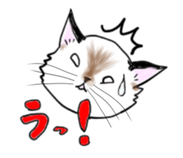 come here of Loki-kun sticker #1282308