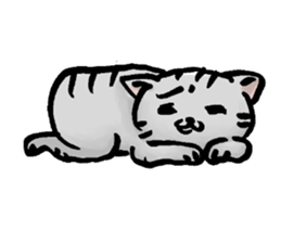 wan nyan sticker #1282741