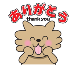 ai-ai