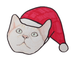 Merry Christmas Cat sticker sticker #1286944