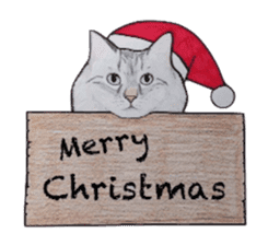 Merry Christmas Cat sticker sticker #1286959