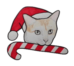 Merry Christmas Cat sticker sticker #1286967