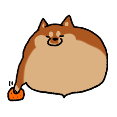 Shiballoon  Ehime dialect