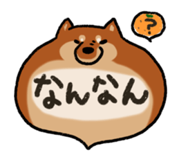 Shiballoon  Ehime dialect sticker #1288341