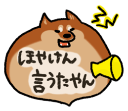 Shiballoon  Ehime dialect sticker #1288350