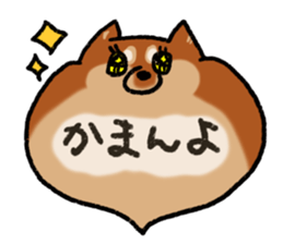 Shiballoon  Ehime dialect sticker #1288361