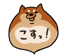 Shiballoon  Ehime dialect sticker #1288362