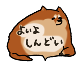 Shiballoon  Ehime dialect sticker #1288363