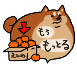 Shiballoon  Ehime dialect sticker #1288375