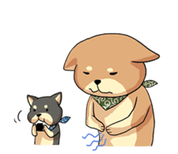 Everyday of Shiba Inu sticker #1291240