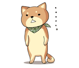 Everyday of Shiba Inu sticker #1291243