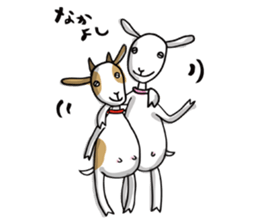 Yacco the goat sticker #1292461