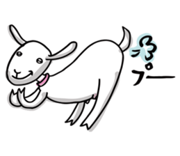 Yacco the goat sticker #1292476