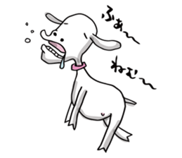 Yacco the goat sticker #1292487