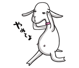 Yacco the goat sticker #1292490