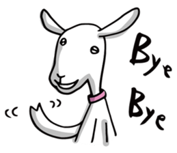 Yacco the goat sticker #1292494