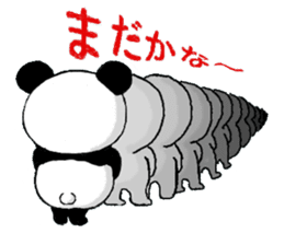 "Padao" of the panda sticker #1293046