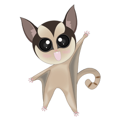 Sweetie Sugar glider