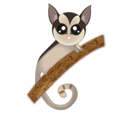 Sweetie Sugar glider sticker #1293520