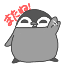 Penguin and Otter   comedy duo .ver sticker #1294257