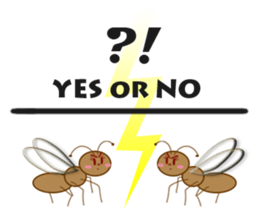 ANT'S LIFE sticker #1296610