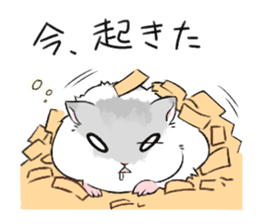 The hamster of my home sticker #1297218