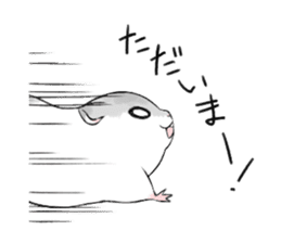 The hamster of my home sticker #1297239