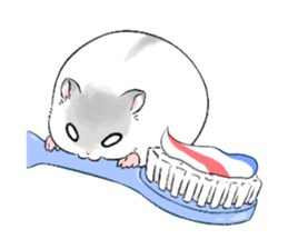 The hamster of my home sticker #1297252
