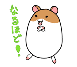 Golden hamster chan sticker #1300554