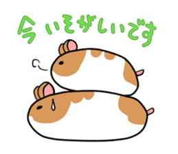 Golden hamster chan sticker #1300559