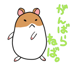 Golden hamster chan sticker #1300575
