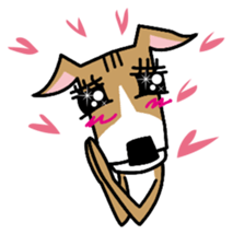 Life of the Italian greyhound sticker #1300709