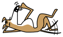 Life of the Italian greyhound sticker #1300711