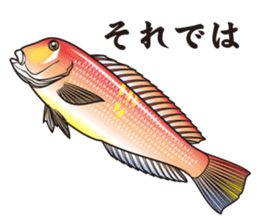 Japanese Fish sticker #1302502