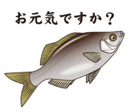 Japanese Fish sticker #1302505