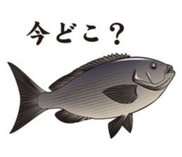 Japanese Fish sticker #1302513