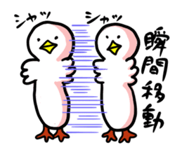 SHIRATORI duck sticker #1305462