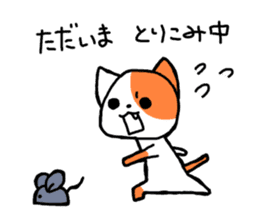Orange cat stickers sticker #1306638
