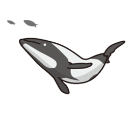 The dolphins & The whales sticker #1306710