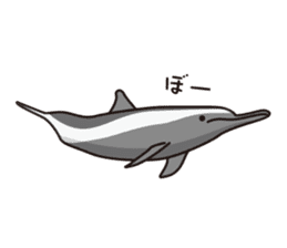 The dolphins & The whales sticker #1306713