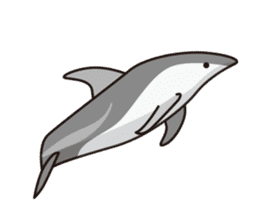 The dolphins & The whales sticker #1306714