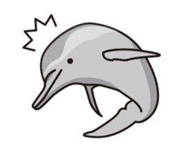 The dolphins & The whales sticker #1306717
