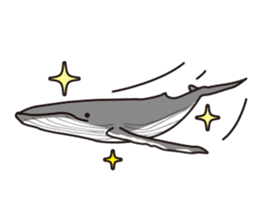 The dolphins & The whales sticker #1306725