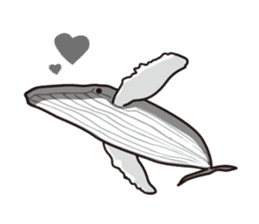The dolphins & The whales sticker #1306728