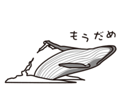 The dolphins & The whales sticker #1306737