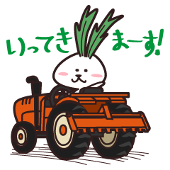 Rabbit of vegetables