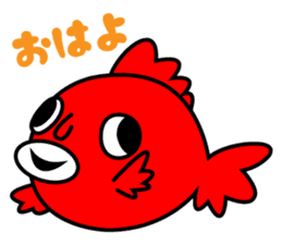 face goldfish sticker #1309658
