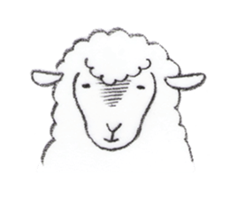 HITSUJIDOSHI 1 sticker #1310819